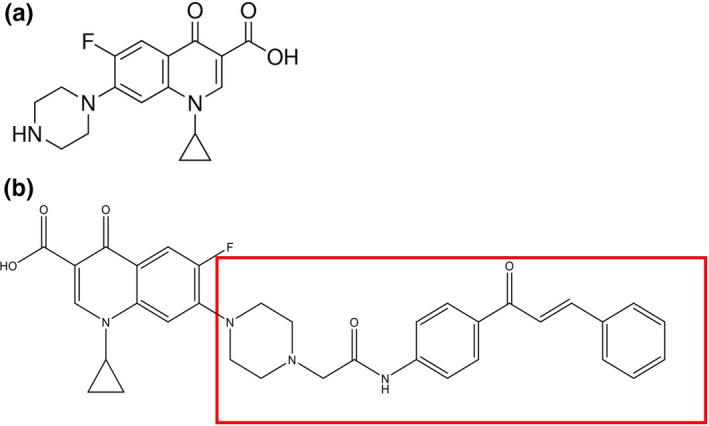 FIGURE 1