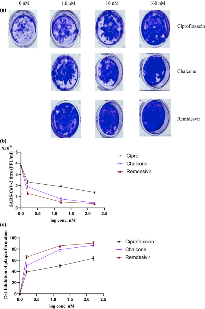 FIGURE 3