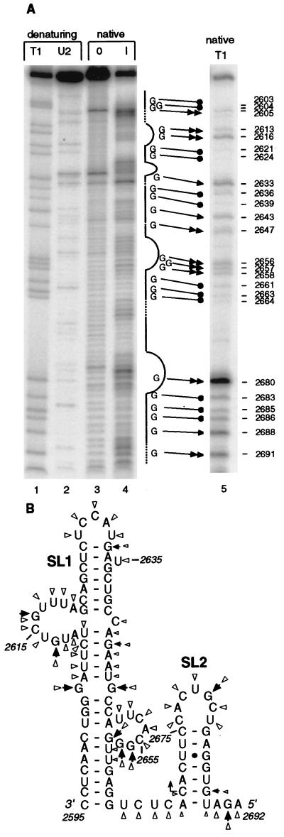 FIG. 5