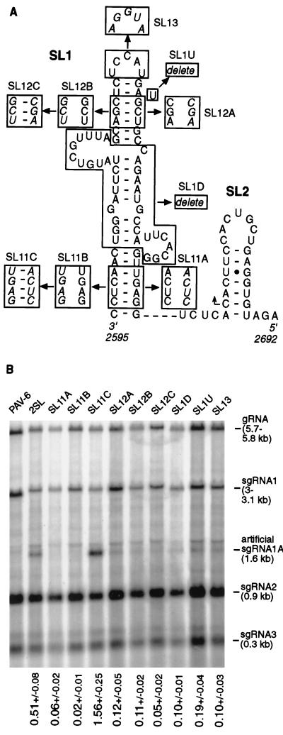 FIG. 6