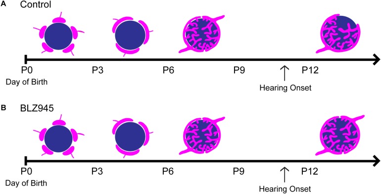 FIGURE 10