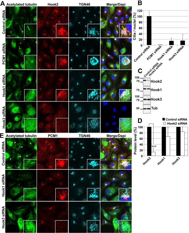 FIGURE 6: