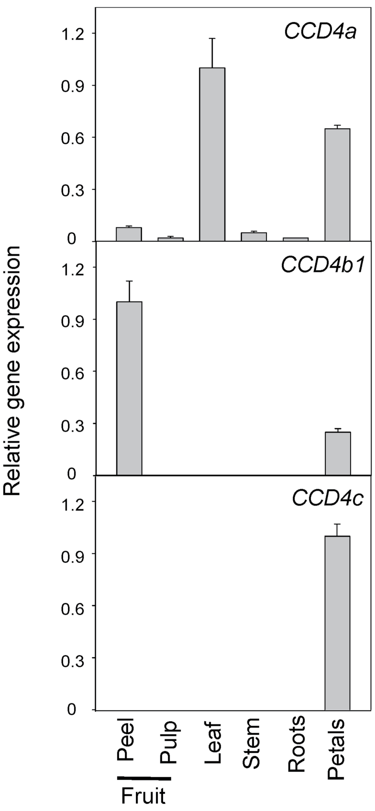 Fig. 3.