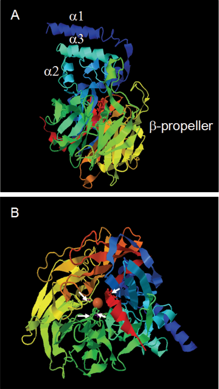 Fig. 6.