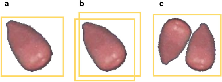 Fig. 5