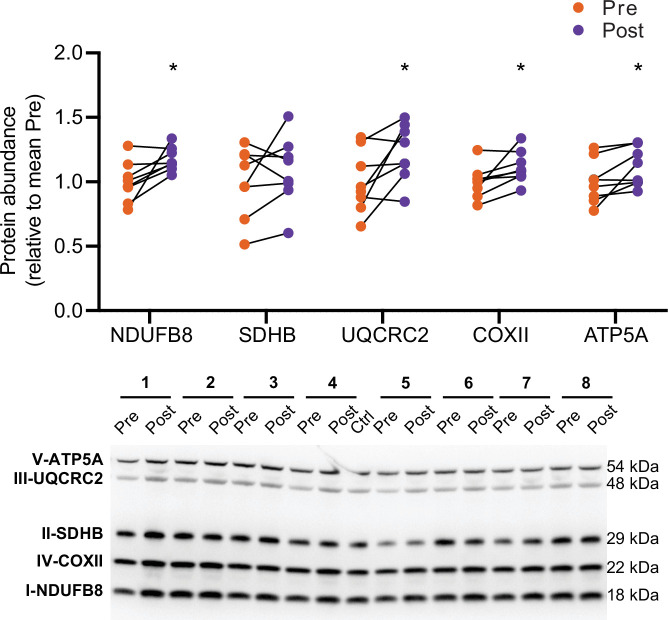 Figure 2—figure supplement 1.