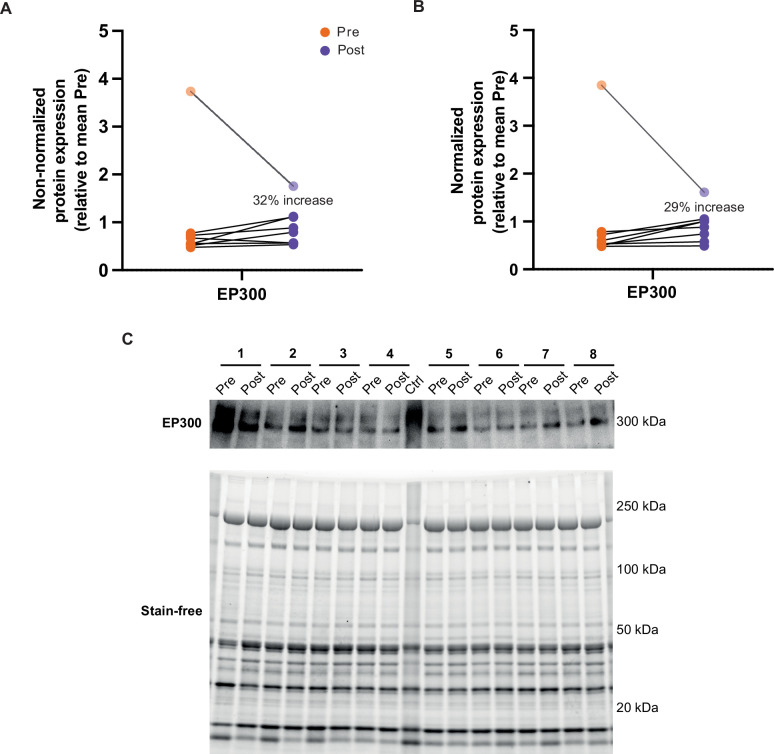 Figure 7—figure supplement 1.