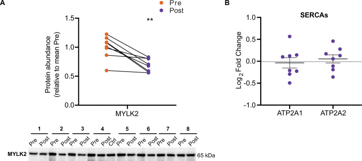 Figure 3—figure supplement 1.