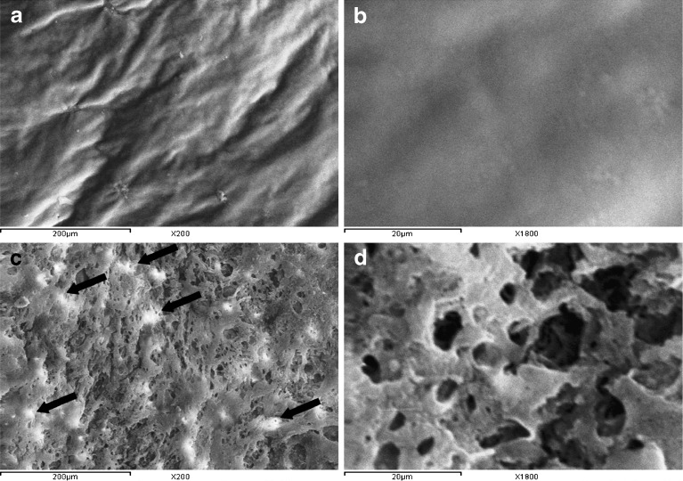 Fig. 7