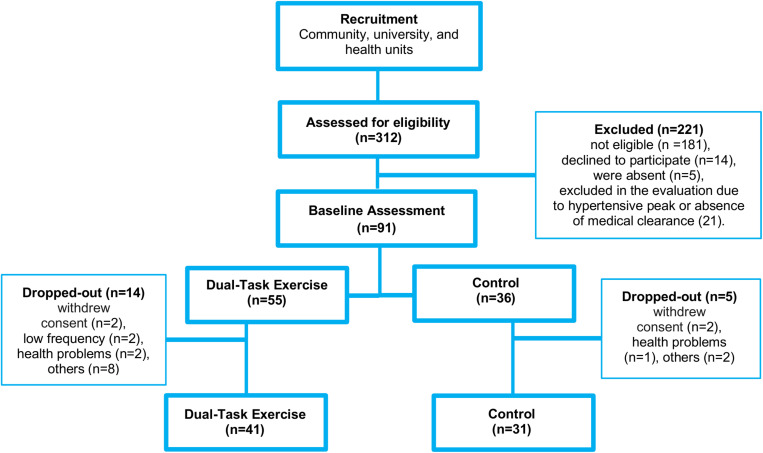 FIGURE 1