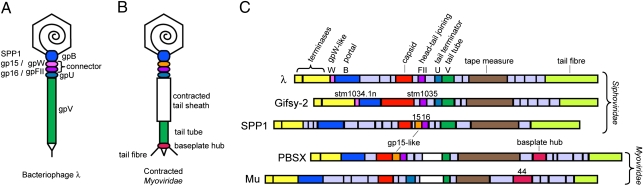 Fig. 1.