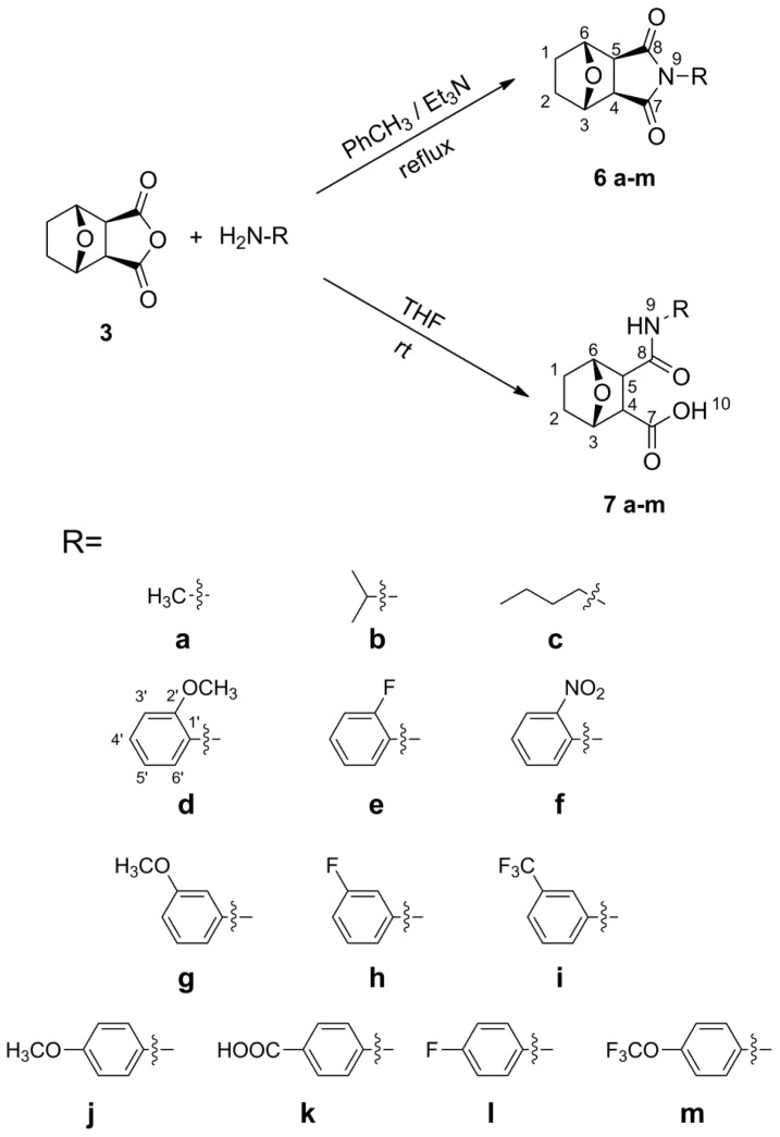 Scheme 1