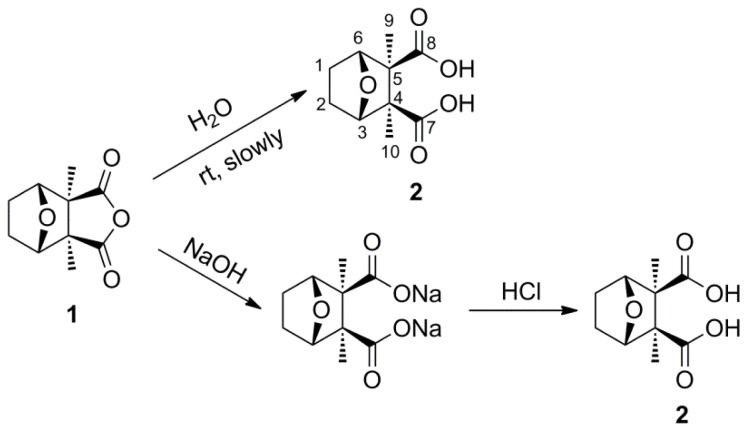 Scheme 3