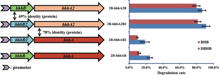 FIG 6