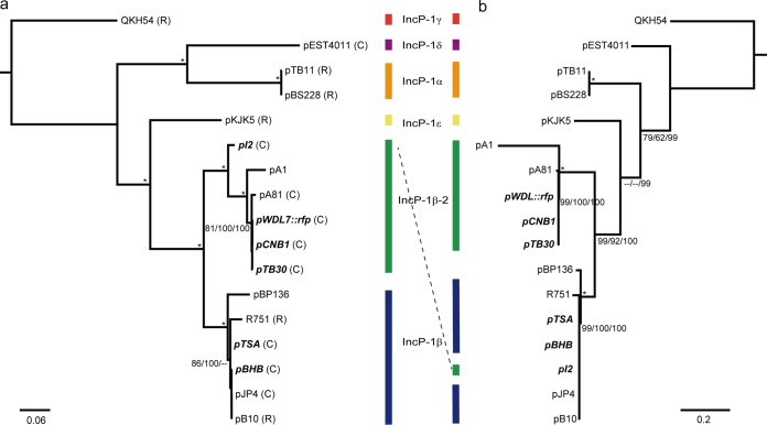 FIG 1