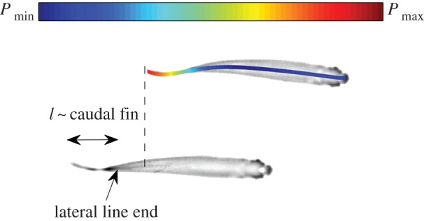 Figure 9.