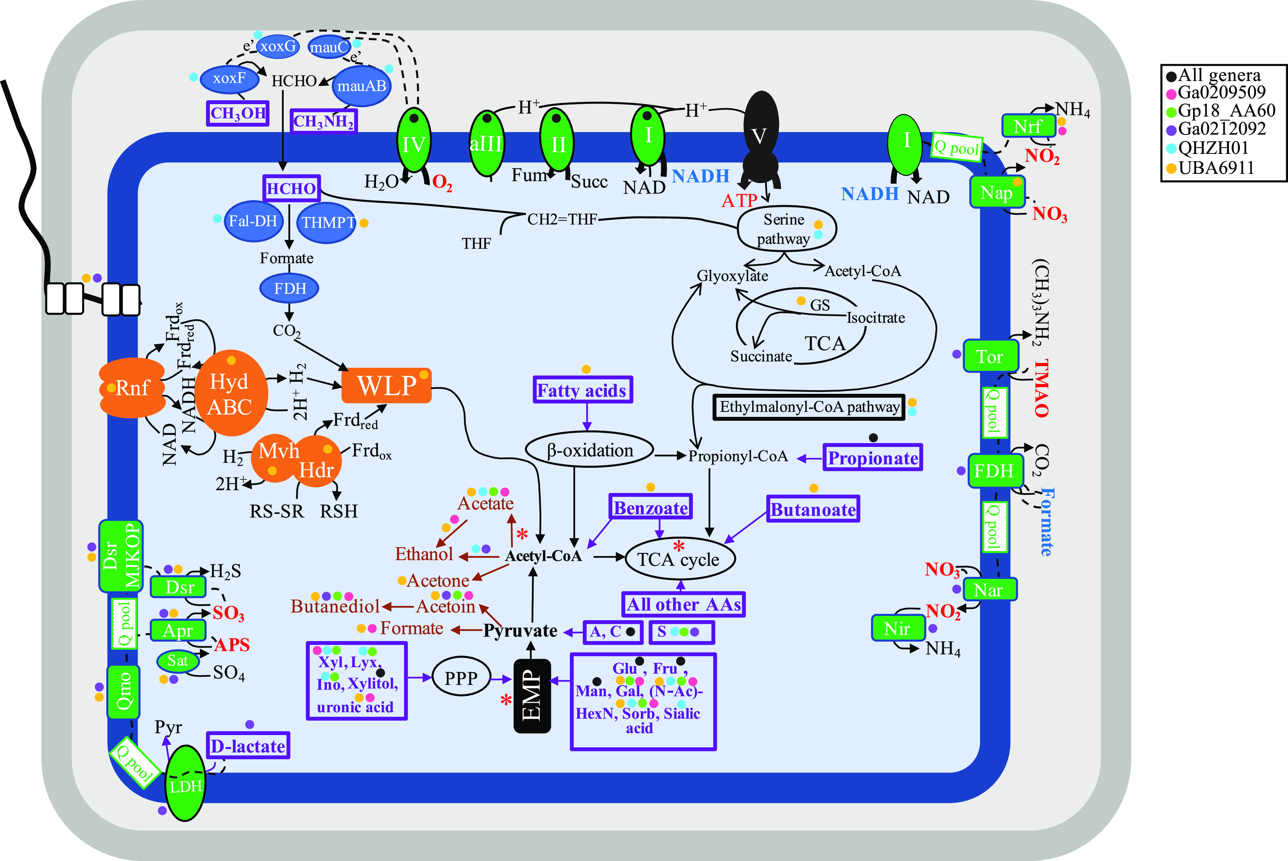 FIG 3