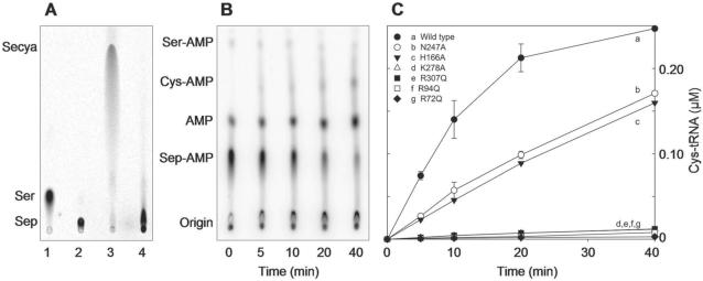 Figure 7.