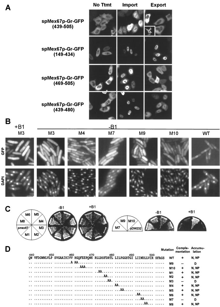 FIG. 9