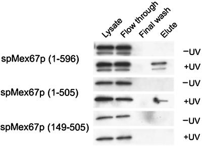 FIG. 6