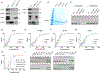 Extended Data Fig. 5 |