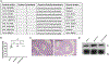 Extended Data Fig. 2 |