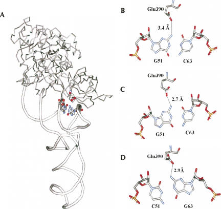 FIGURE 2.