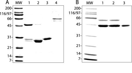 FIG. 5.