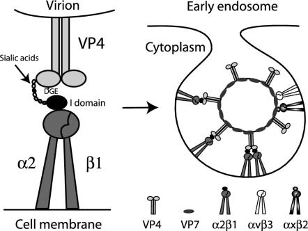 FIG. 7.