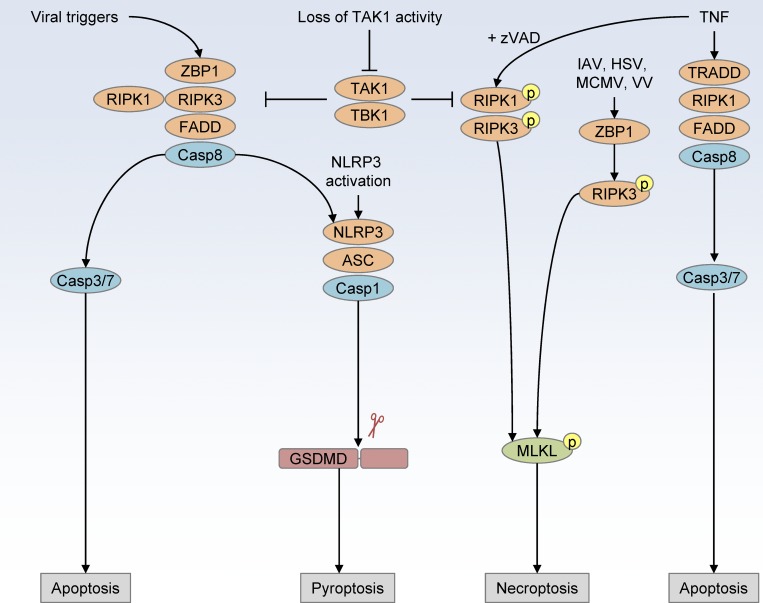 Figure 2.