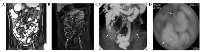 Figure 1.