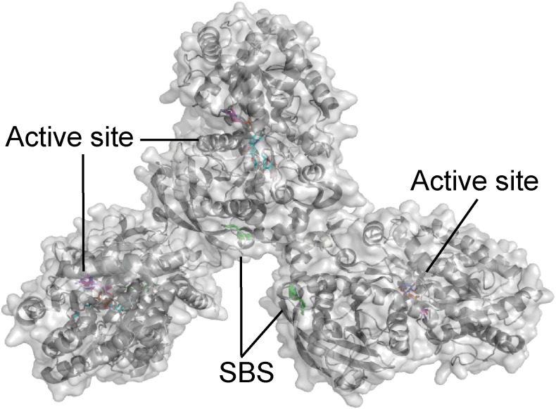 FIGURE 1