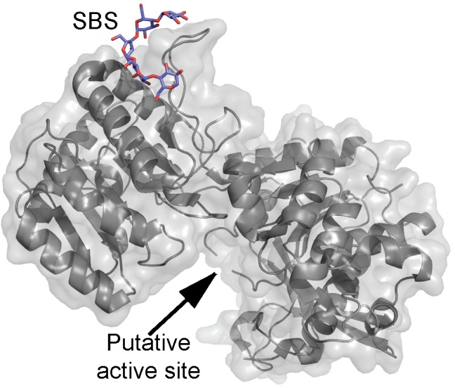 FIGURE 2