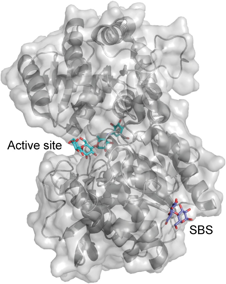 FIGURE 3