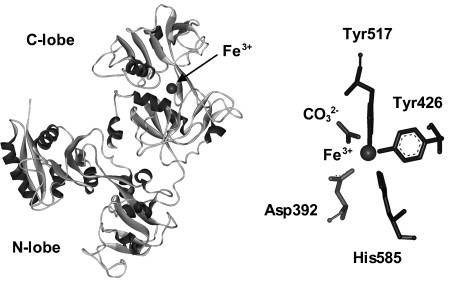 Fig. 11