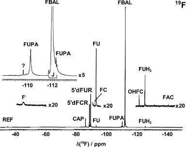 Fig. 26