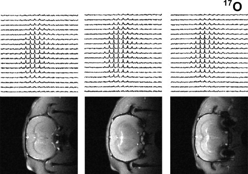 Fig. 24