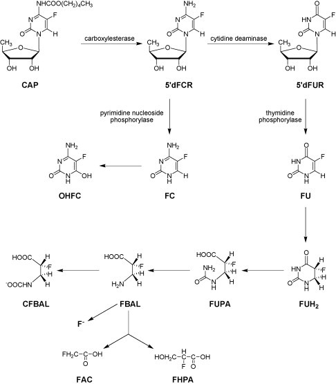 Fig. 27