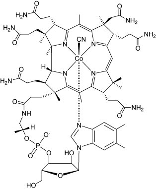 Fig. 19