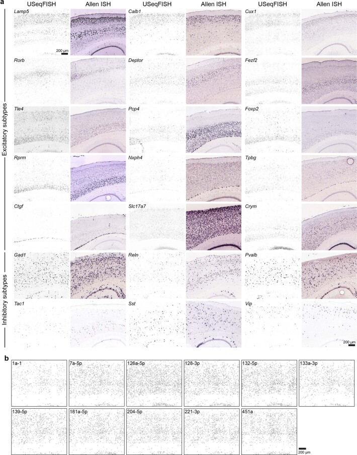 Extended Data Fig. 8