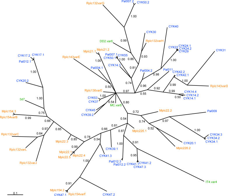 Figure 2