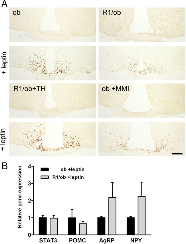 Figure 6.