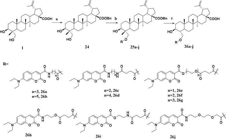 Scheme 2