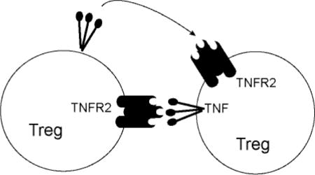 graphic file with name nihms974245u1.jpg