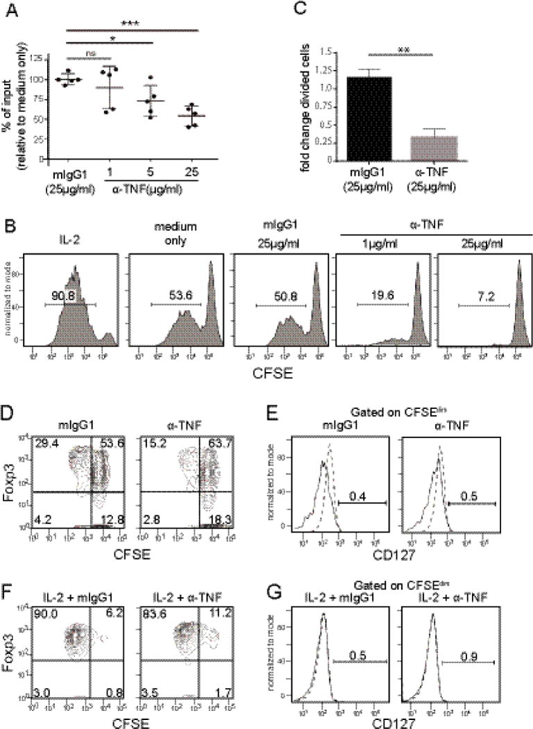 Fig.2