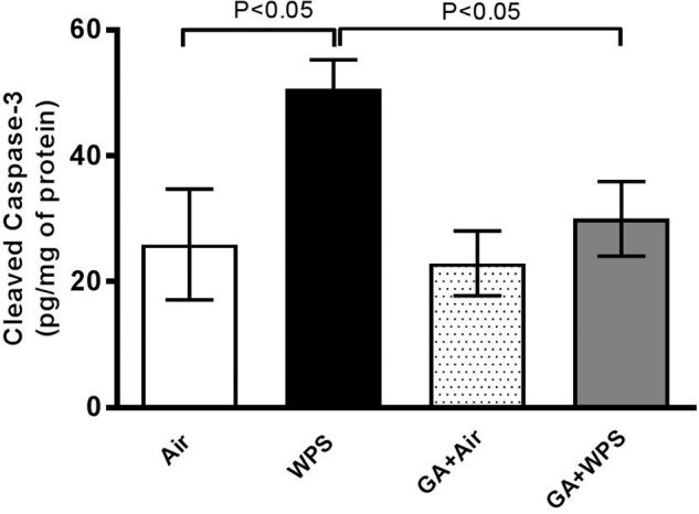 FIGURE 11