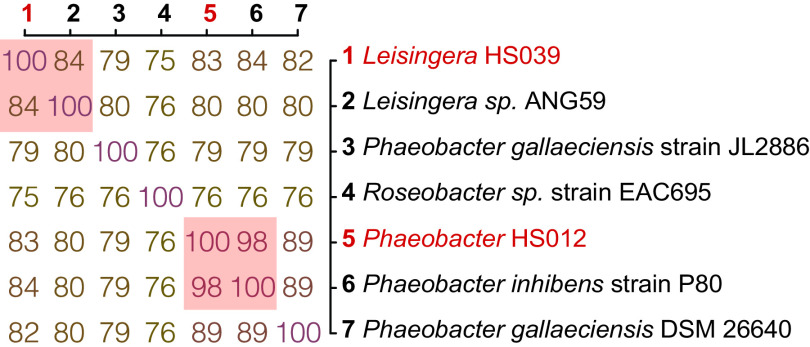 FIG 1