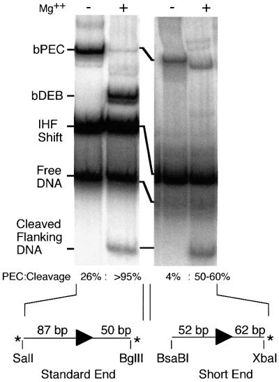 graphic file with name cde379f6.jpg