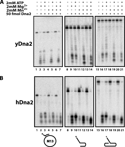 FIGURE 4.