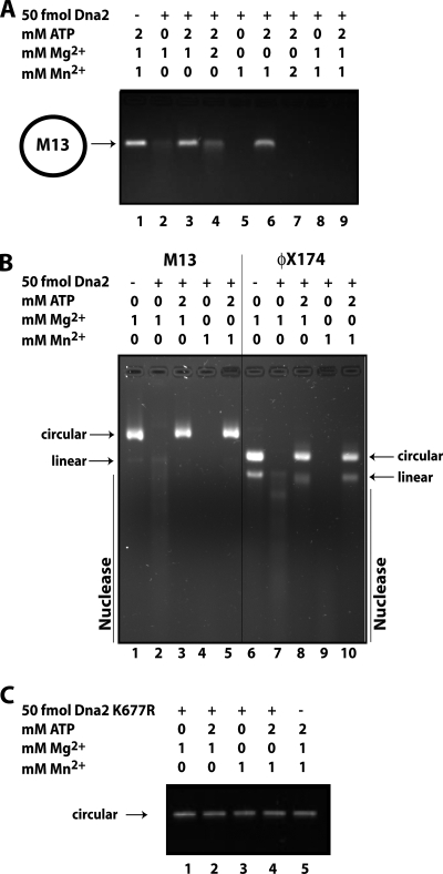 FIGURE 1.